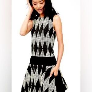 Banana Republic Diamond Jacquard Drop Waist Dress